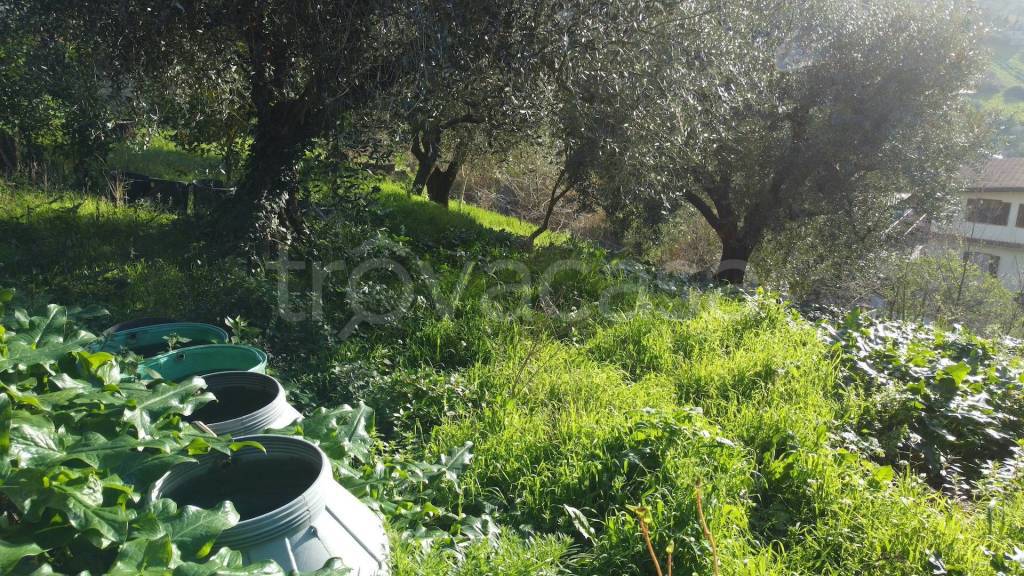 immagine annuncio 6 di 14