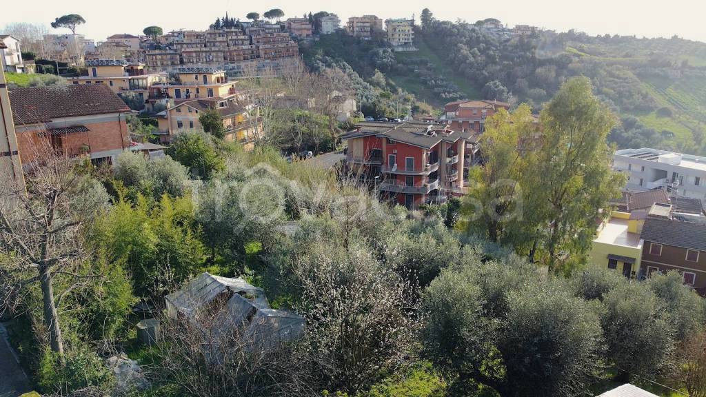 immagine annuncio 10 di 14