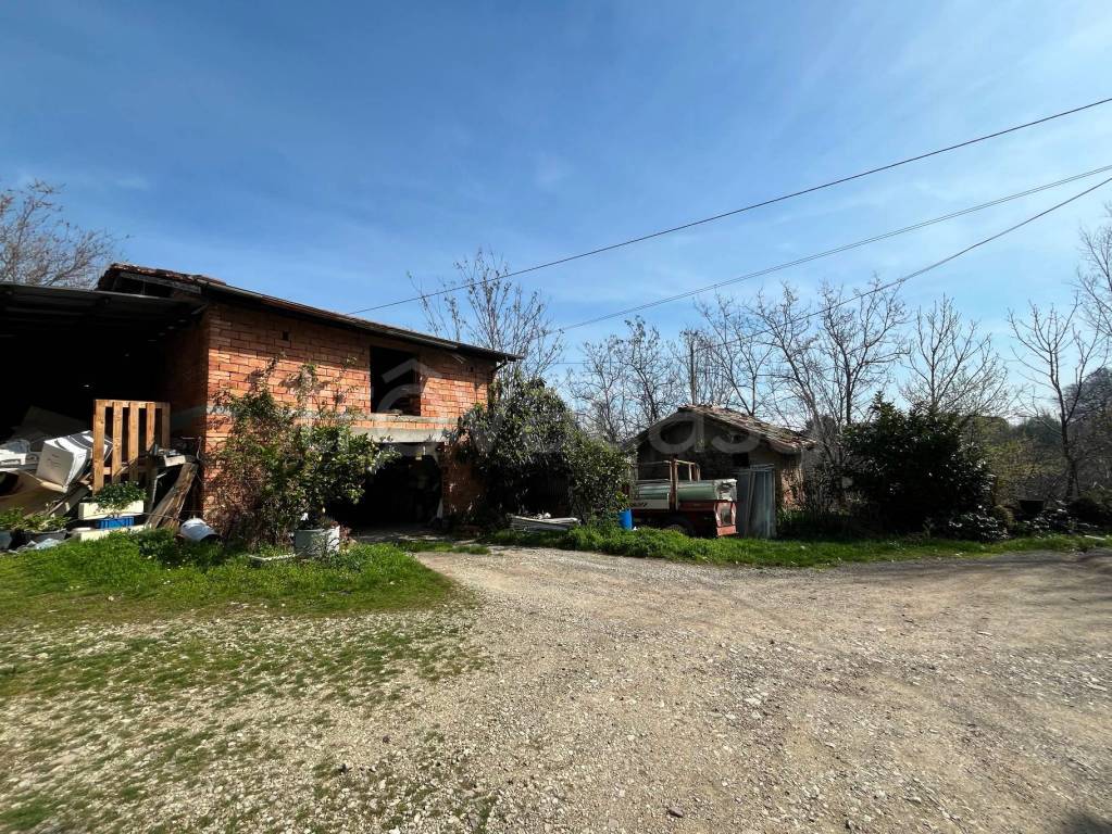 immagine annuncio 3 di 12