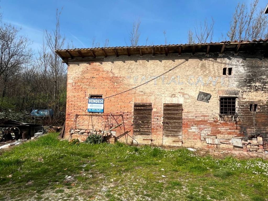 immagine annuncio 5 di 12