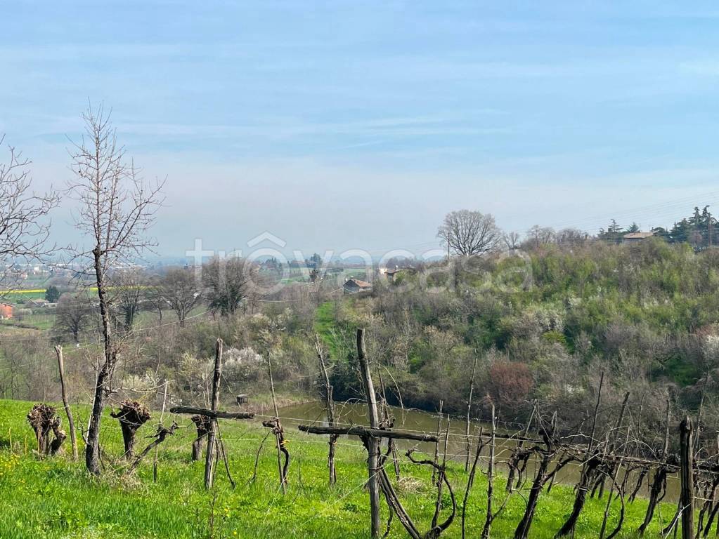 immagine annuncio 9 di 12