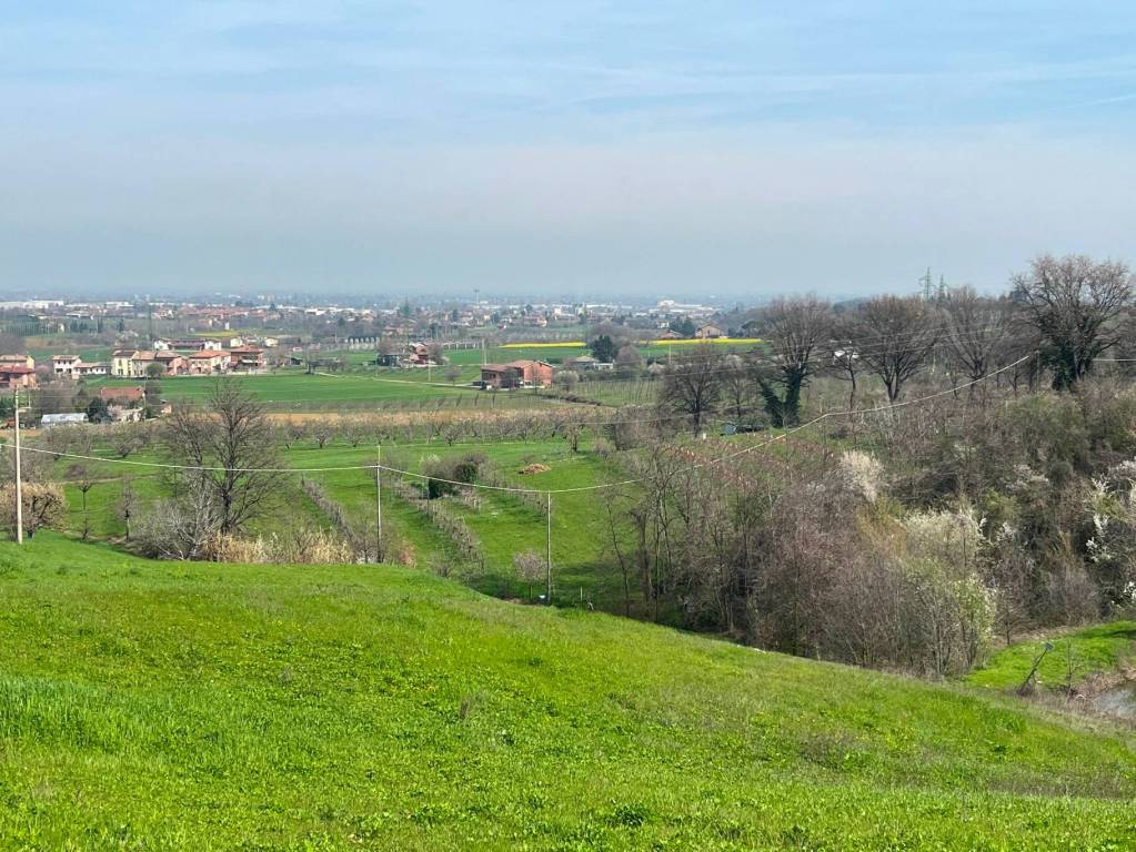 immagine annuncio 11 di 12