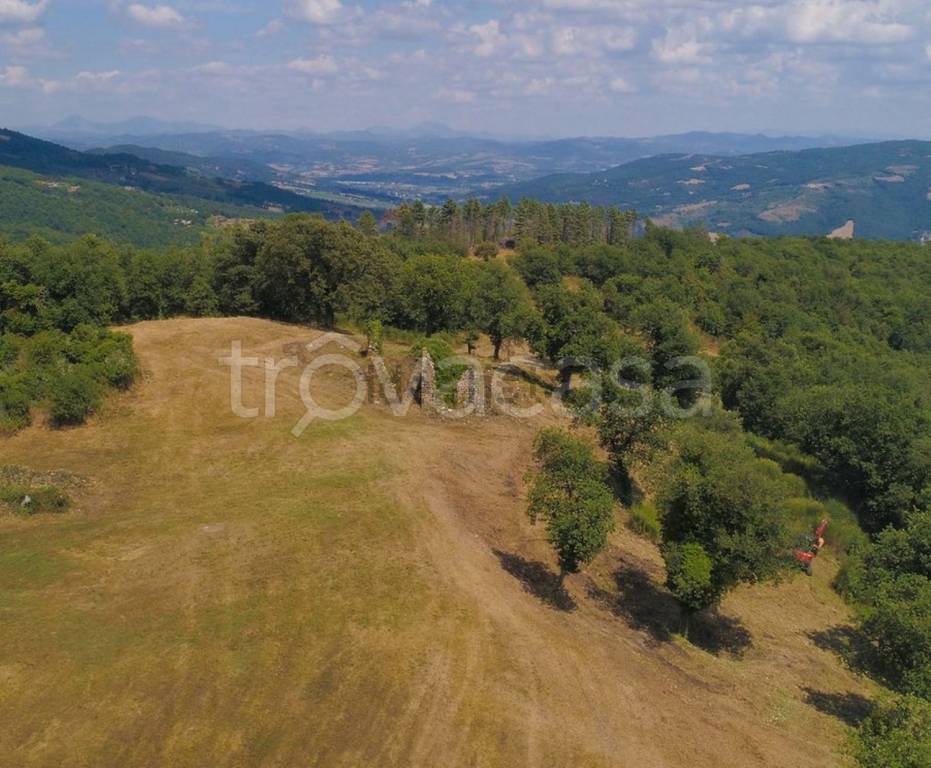 Terreno Agricolo in vendita a Lisciano Niccone reschio