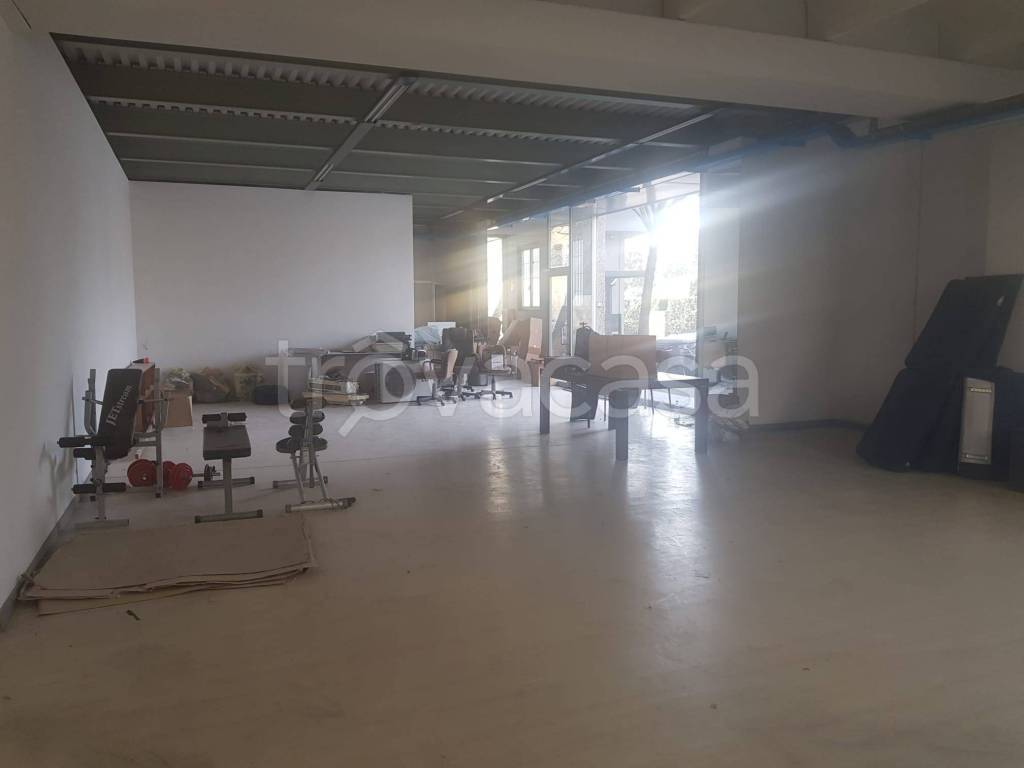 immagine annuncio 3 di 8