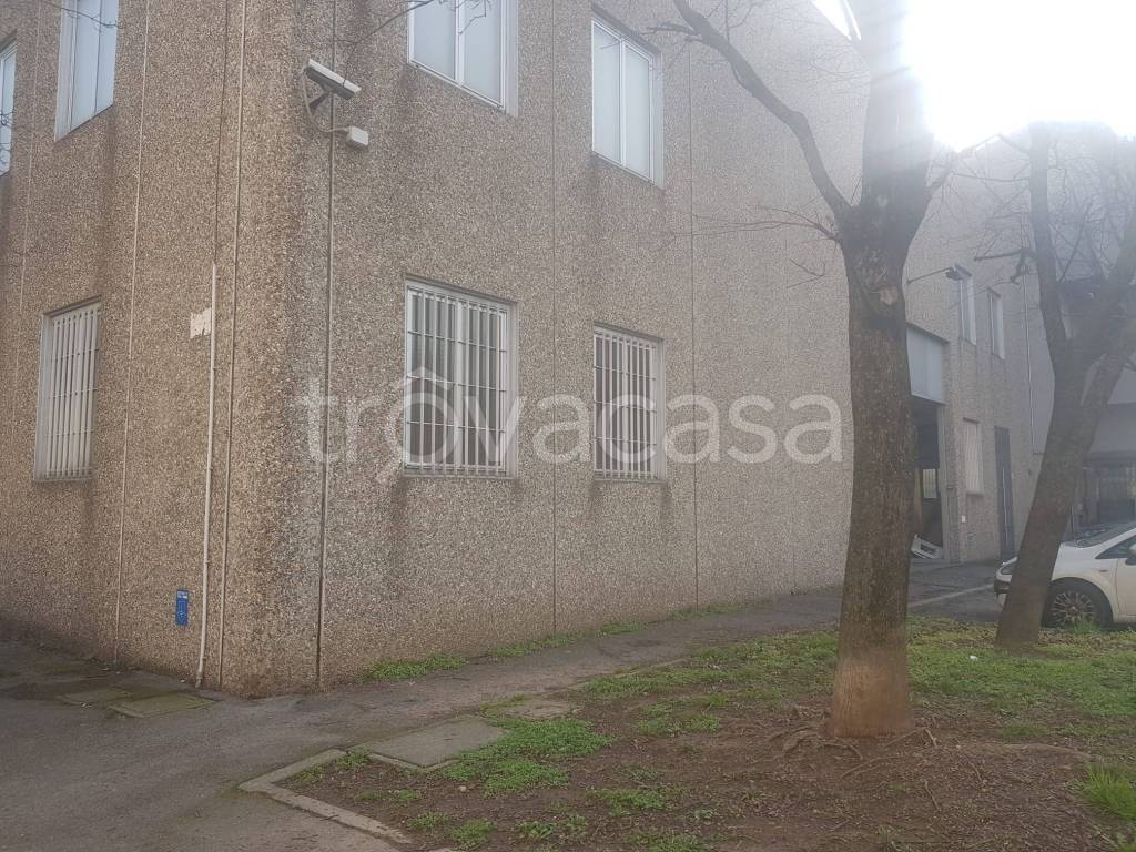 immagine annuncio 4 di 8