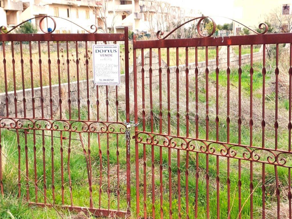 immagine annuncio 2 di 8