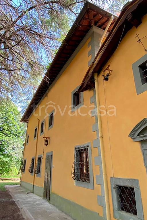 immagine annuncio 5 di 14