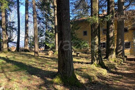 immagine annuncio 6 di 14