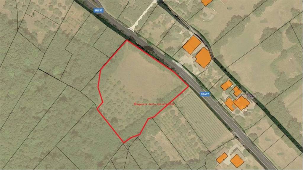 immagine annuncio 2 di 6