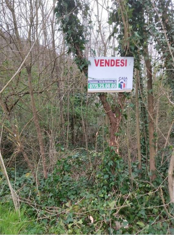 immagine annuncio 5 di 6