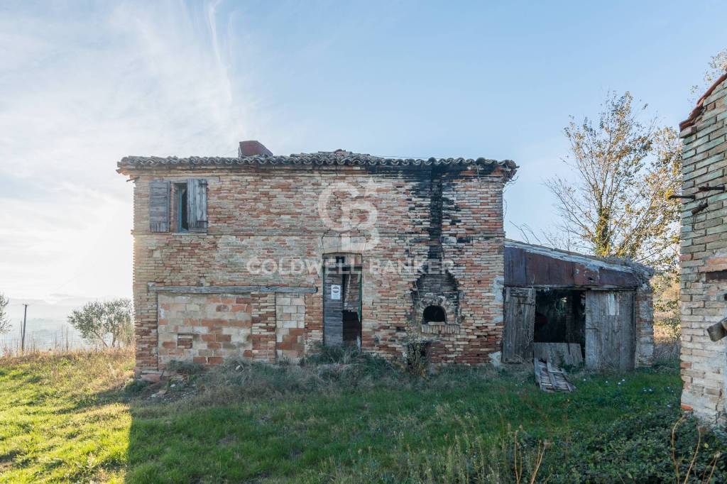 immagine annuncio 6 di 12