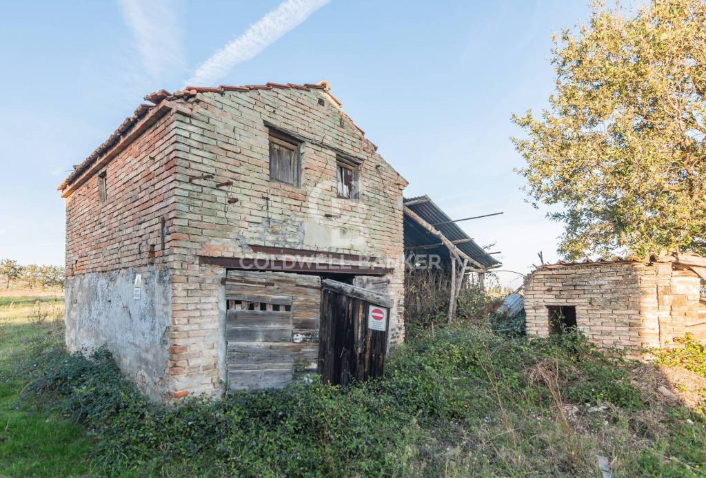 immagine annuncio 7 di 12