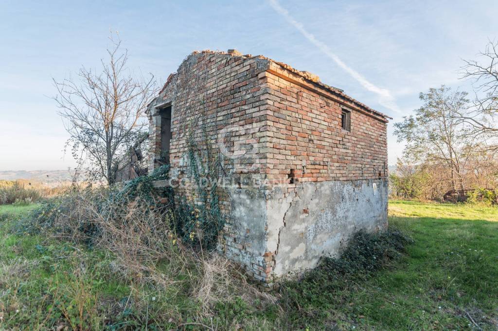 immagine annuncio 8 di 12