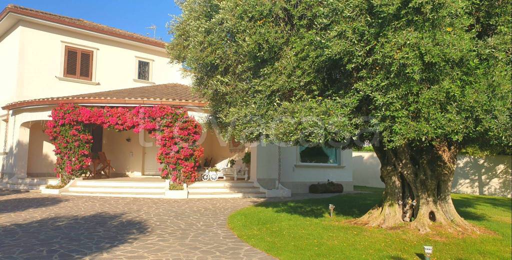 Villa in in vendita da privato a Pomezia strada Provinciale Campo Selva