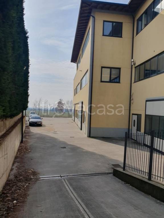 immagine annuncio 2 di 11