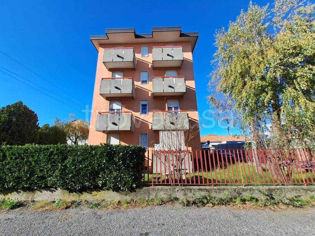 immagine annuncio 5 di 14