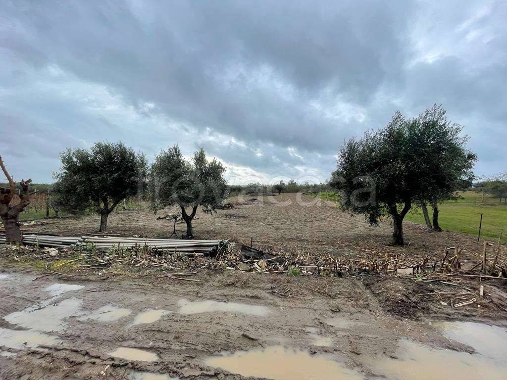 immagine annuncio 5 di 9