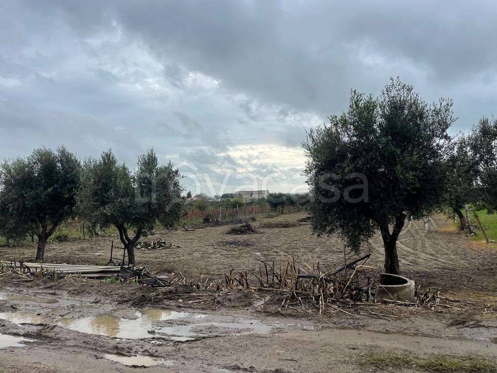 immagine annuncio 6 di 9