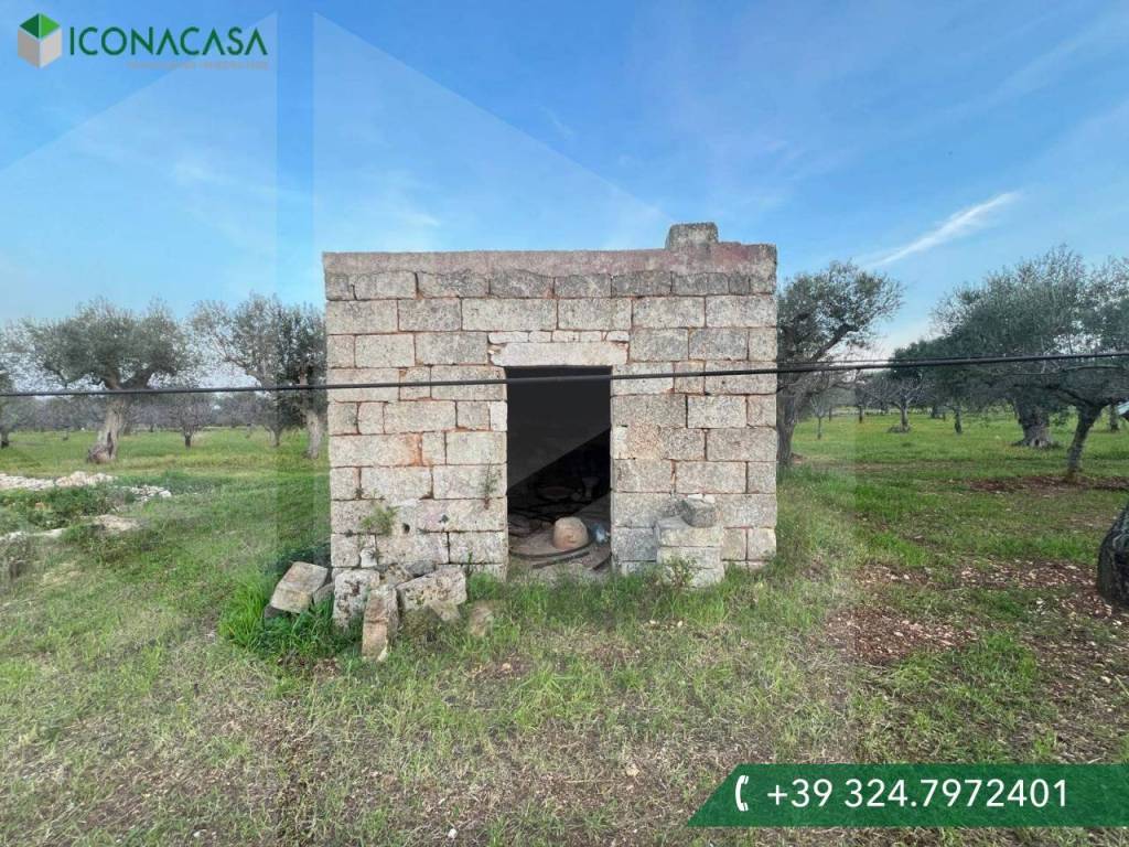 immagine annuncio 1 di 14