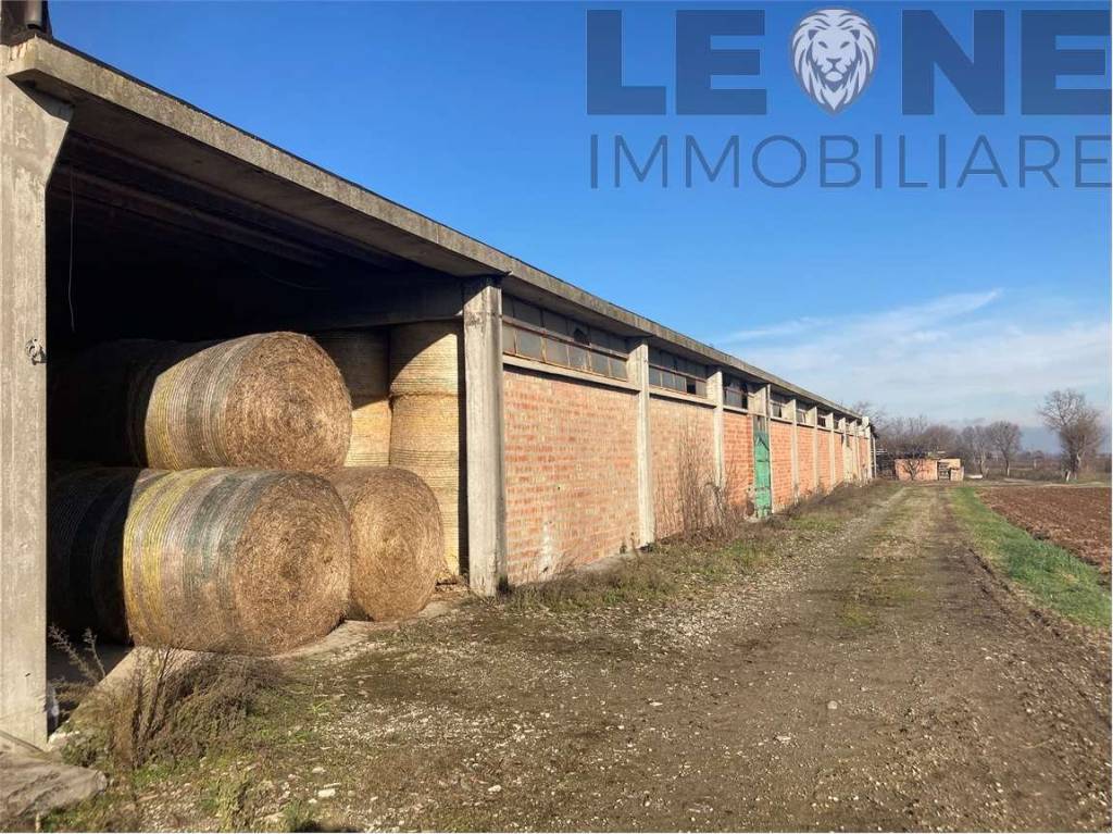 immagine annuncio 1 di 8