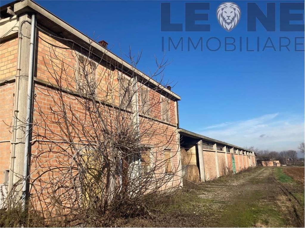 immagine annuncio 2 di 8