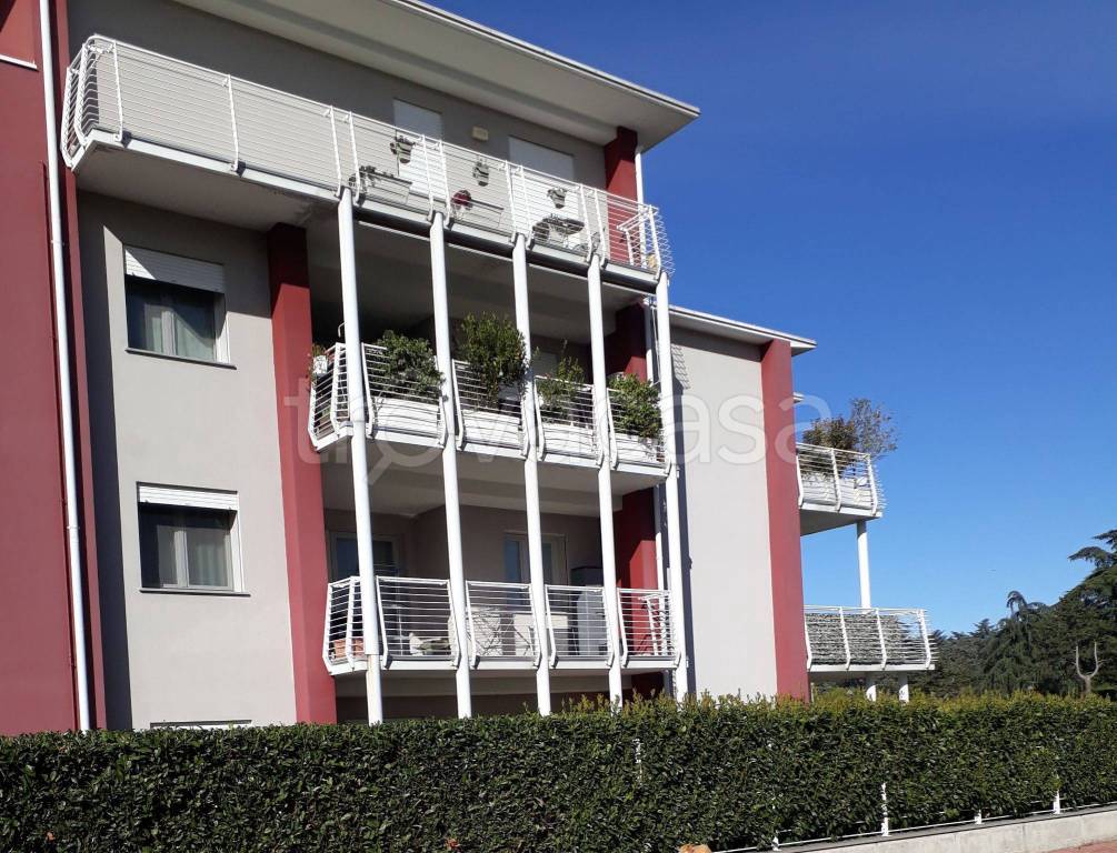 Appartamento in in vendita da privato a Montechiarugolo via Unità d'Italia, 1