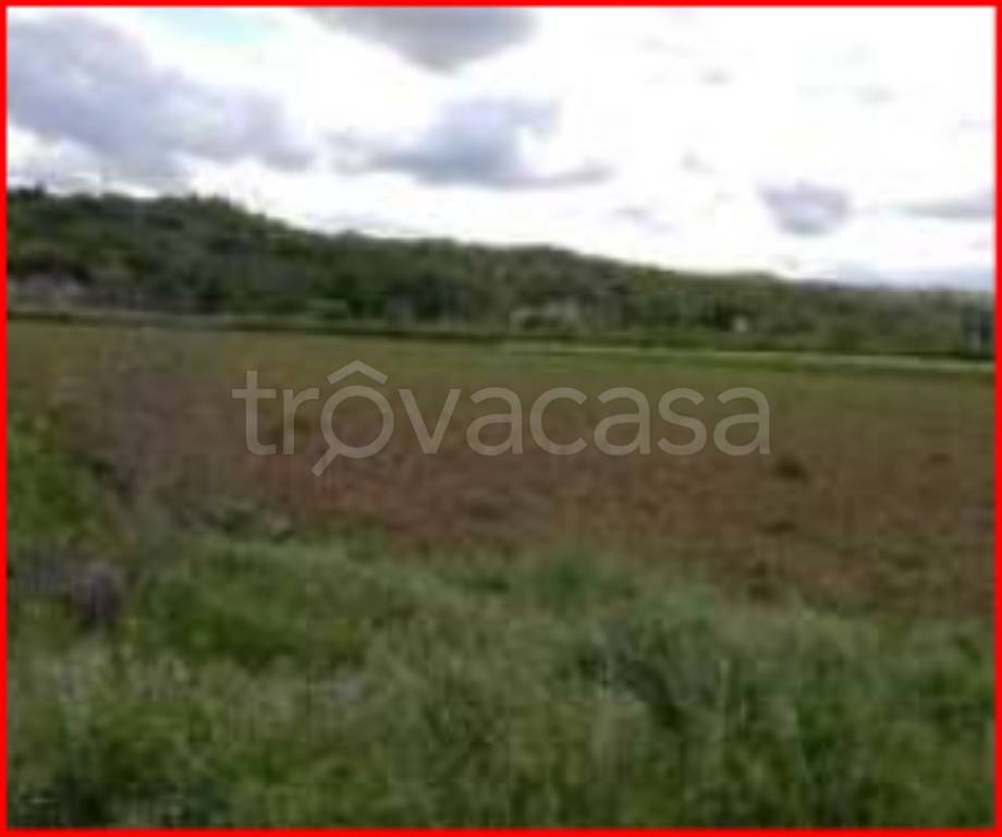 Terreno Agricolo in vendita a Civitella in Val di Chiana località Piano dell’esse