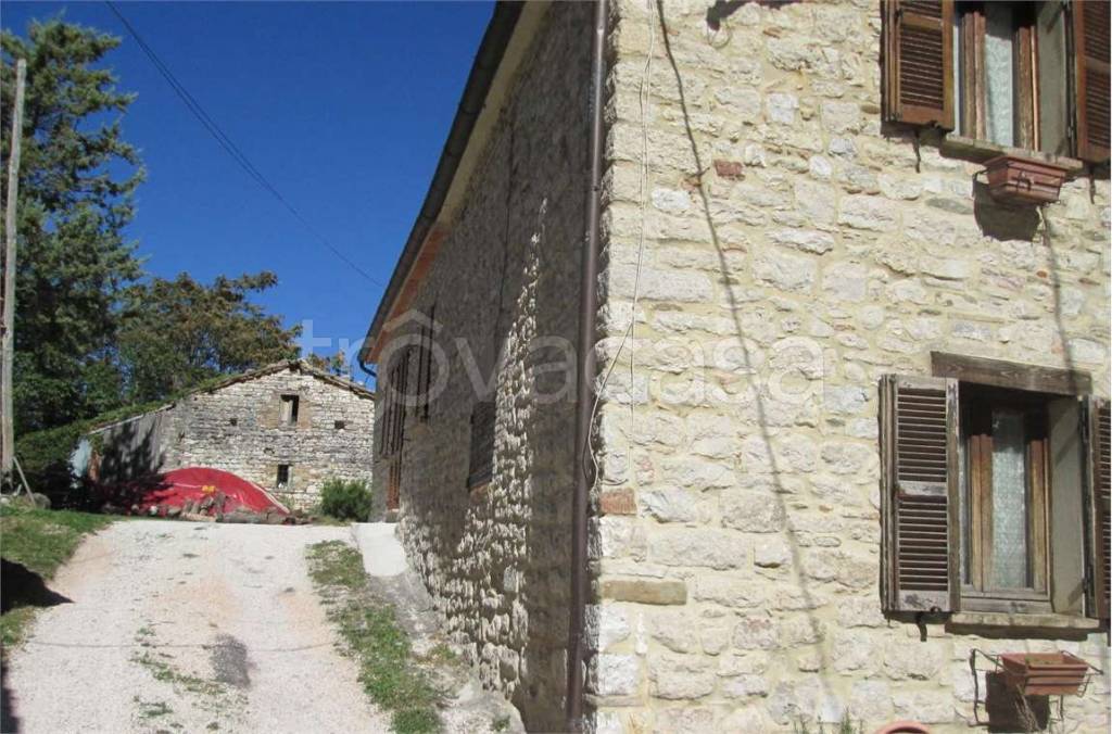 immagine annuncio 4 di 6