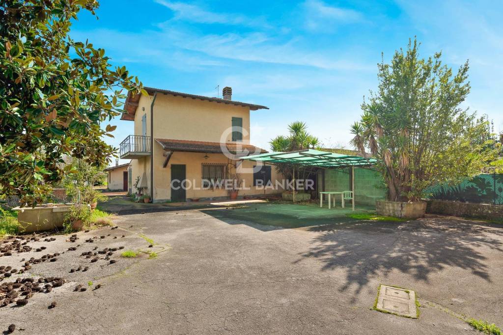 immagine annuncio 10 di 12