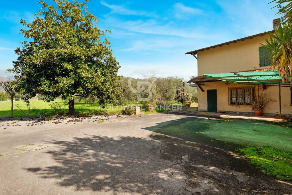 immagine annuncio 11 di 12