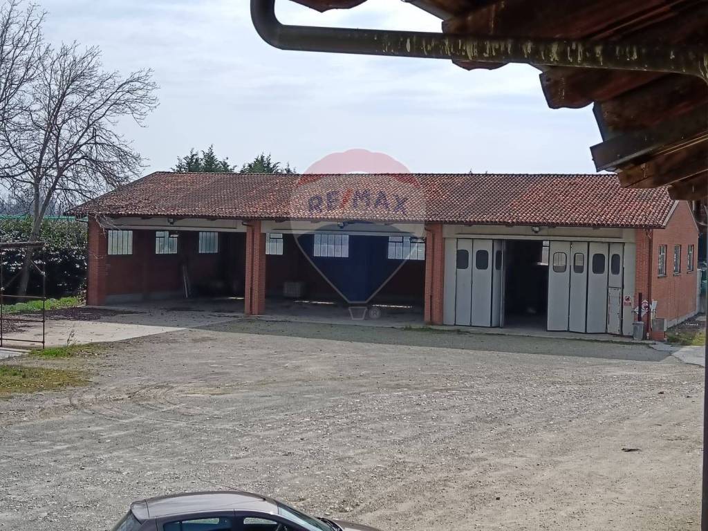 immagine annuncio 11 di 13