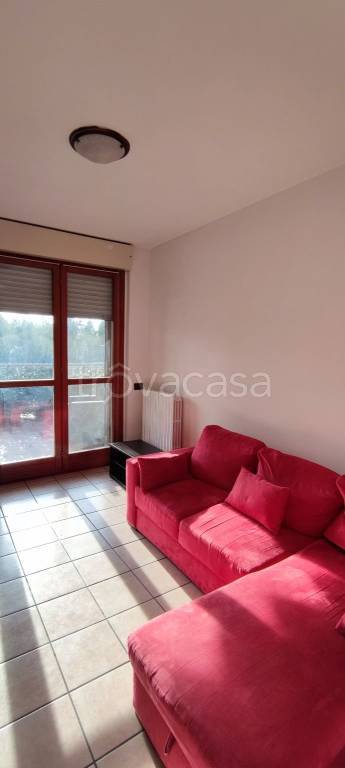 Appartamento in in affitto da privato a San Donato Milanese via Strasburgo, 5F
