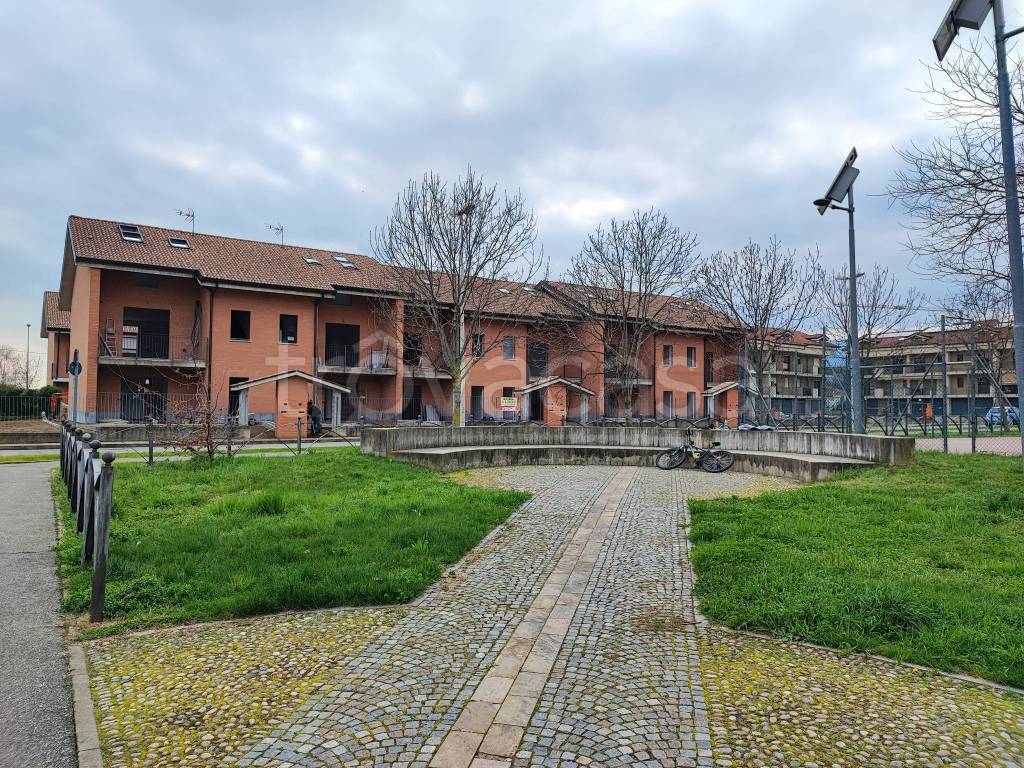 immagine annuncio 1 di 15