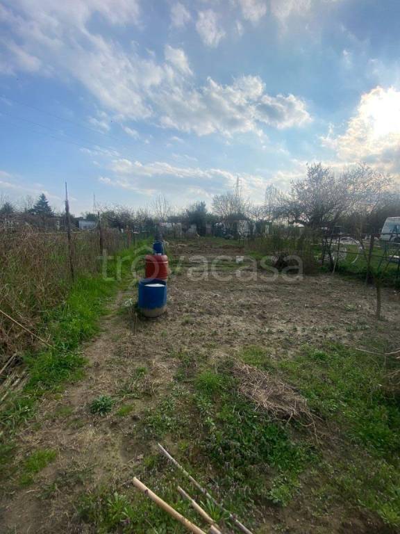 Terreno Agricolo in vendita a Beinasco via Giovanni Falcone