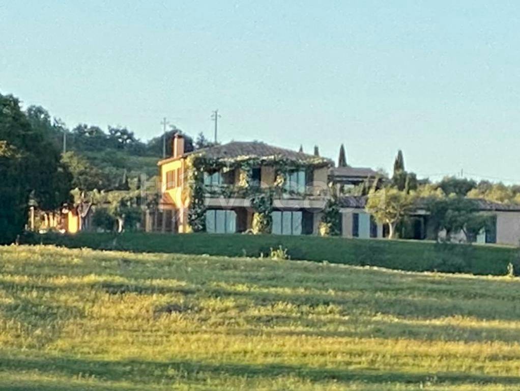Villa in affitto a Capalbio