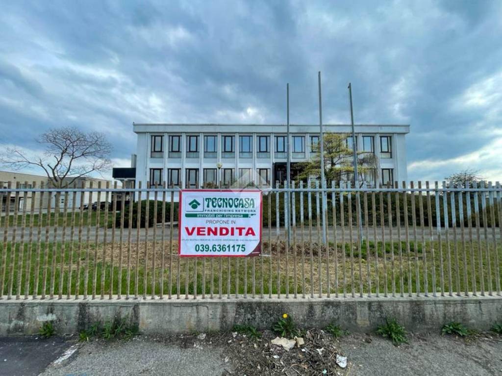 immagine annuncio 10 di 15