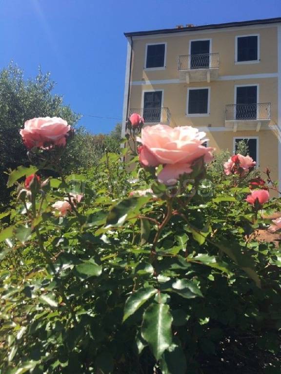 immagine annuncio 1 di 4