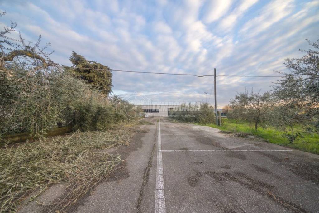 immagine annuncio 11 di 14