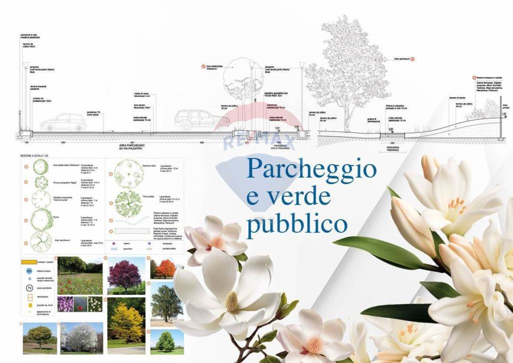 immagine annuncio 7 di 14