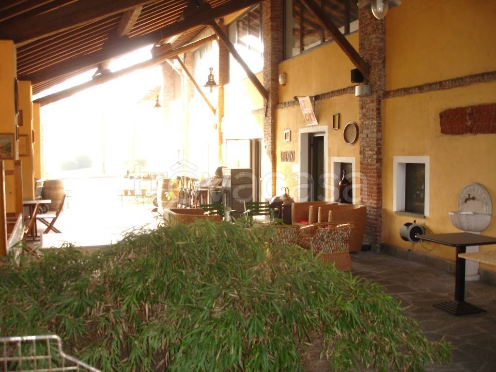immagine annuncio 9 di 12
