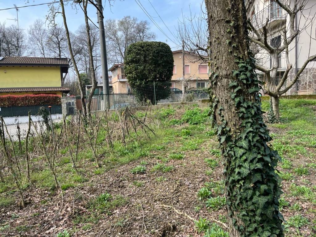 immagine annuncio 4 di 13