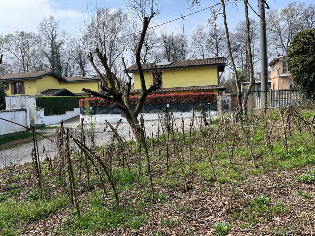 immagine annuncio 11 di 13