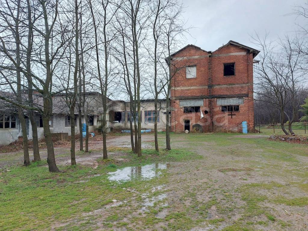 immagine annuncio 4 di 11