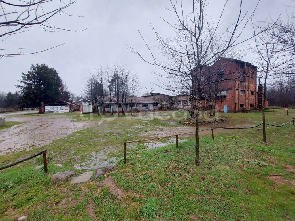 immagine annuncio 6 di 11