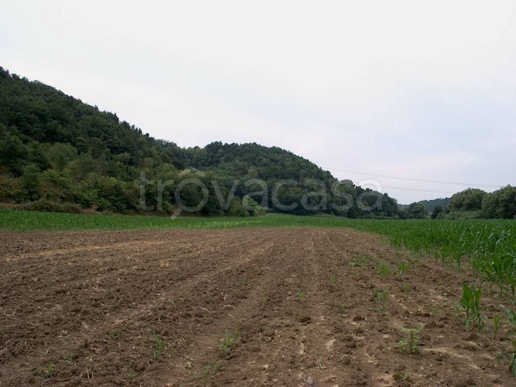 Terreno Agricolo in affitto a Fiumicino via Carlo Belviglieri, 12