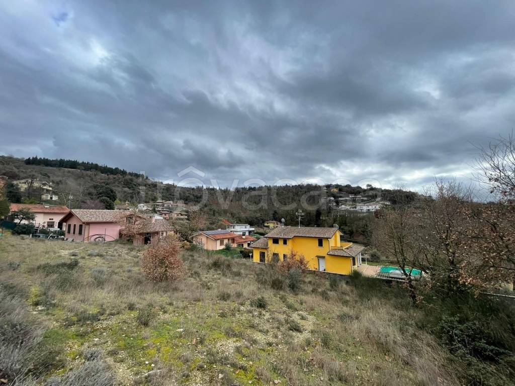 immagine annuncio 3 di 7