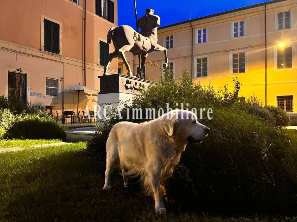 immagine annuncio 3 di 9