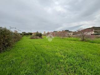 Terreno agricolo in vendita a monte compatri via delle marmorelle