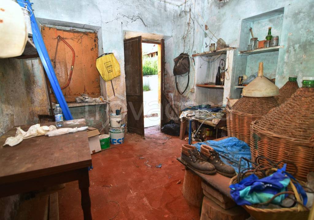 immagine annuncio 3 di 10