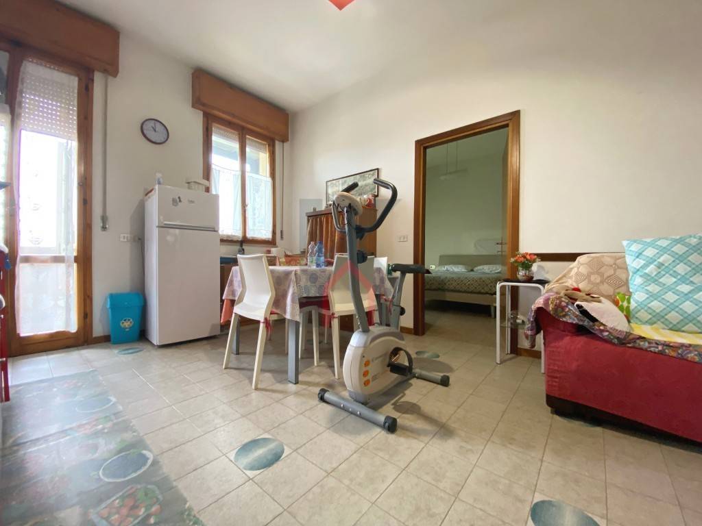 immagine annuncio 1 di 14